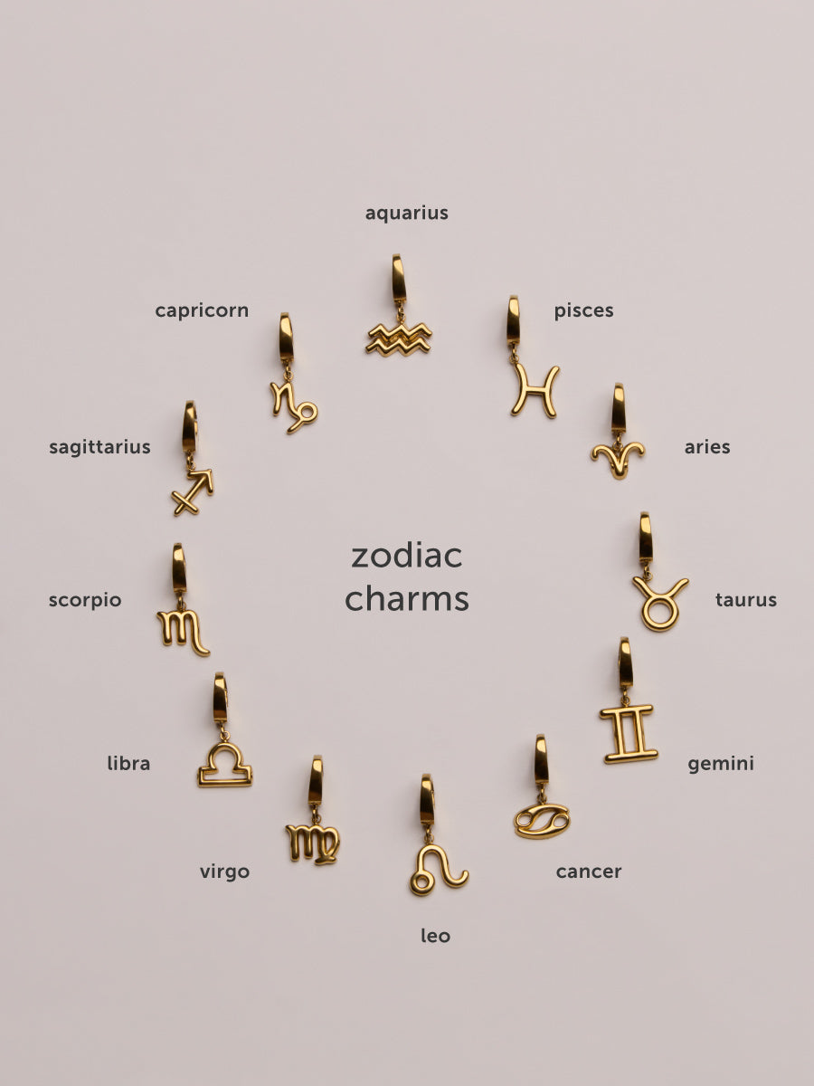 Petite Zodiac Gold Charm | Wanderlust + Co