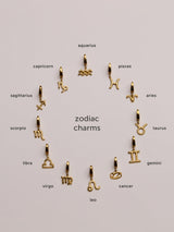Petite Zodiac Gold Charm | Wanderlust + Co