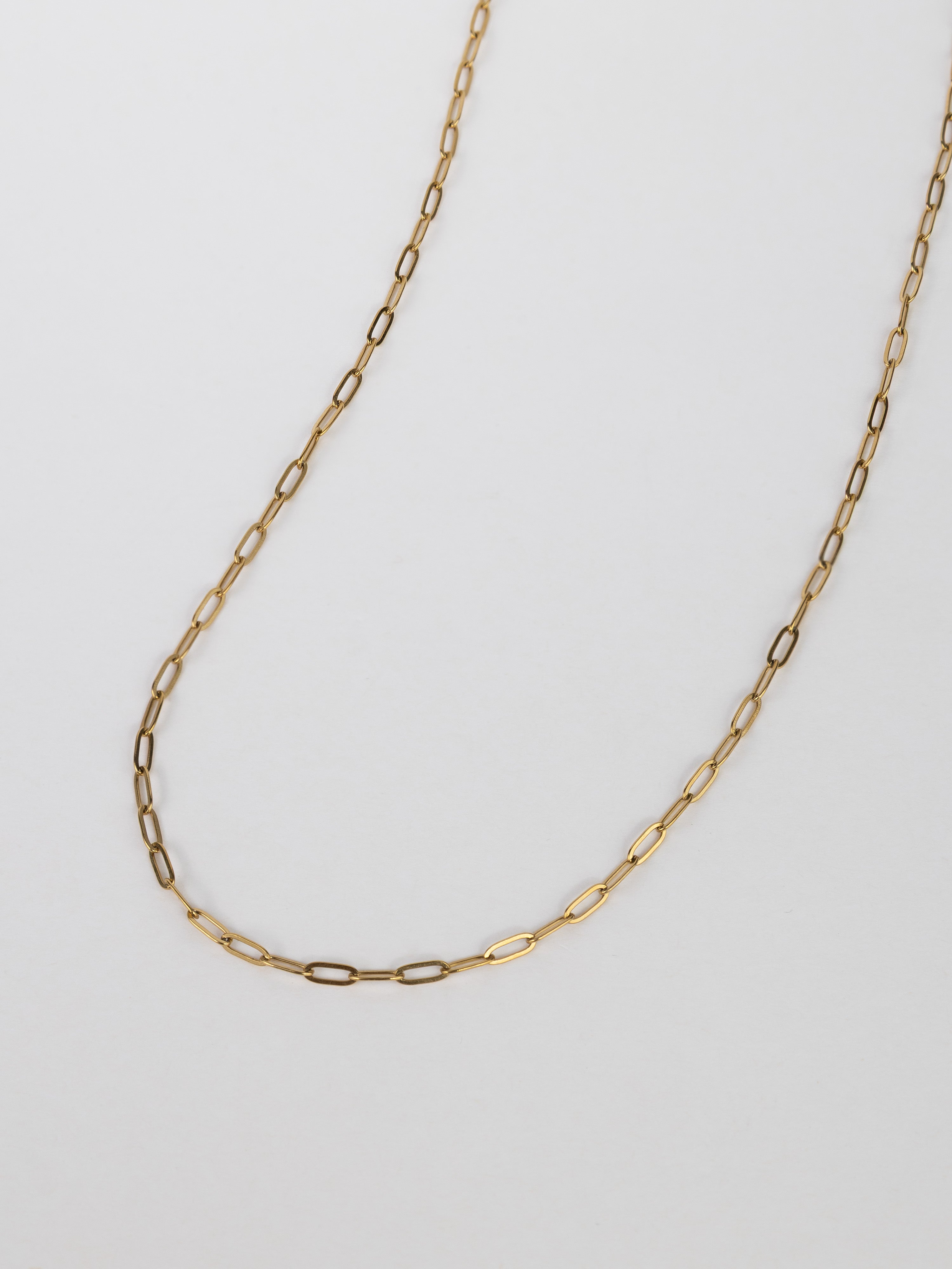 Petite Harper Gold Essential Chain Necklace