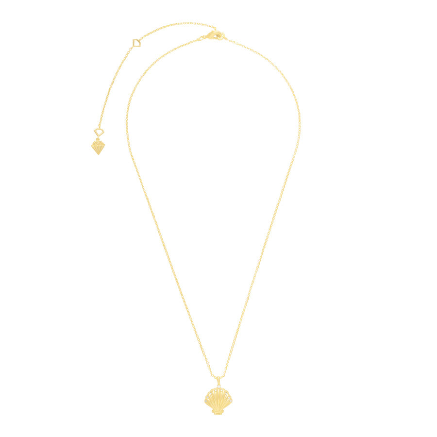 Sundaze Shell Locket Gold Necklace | Wanderlust + Co