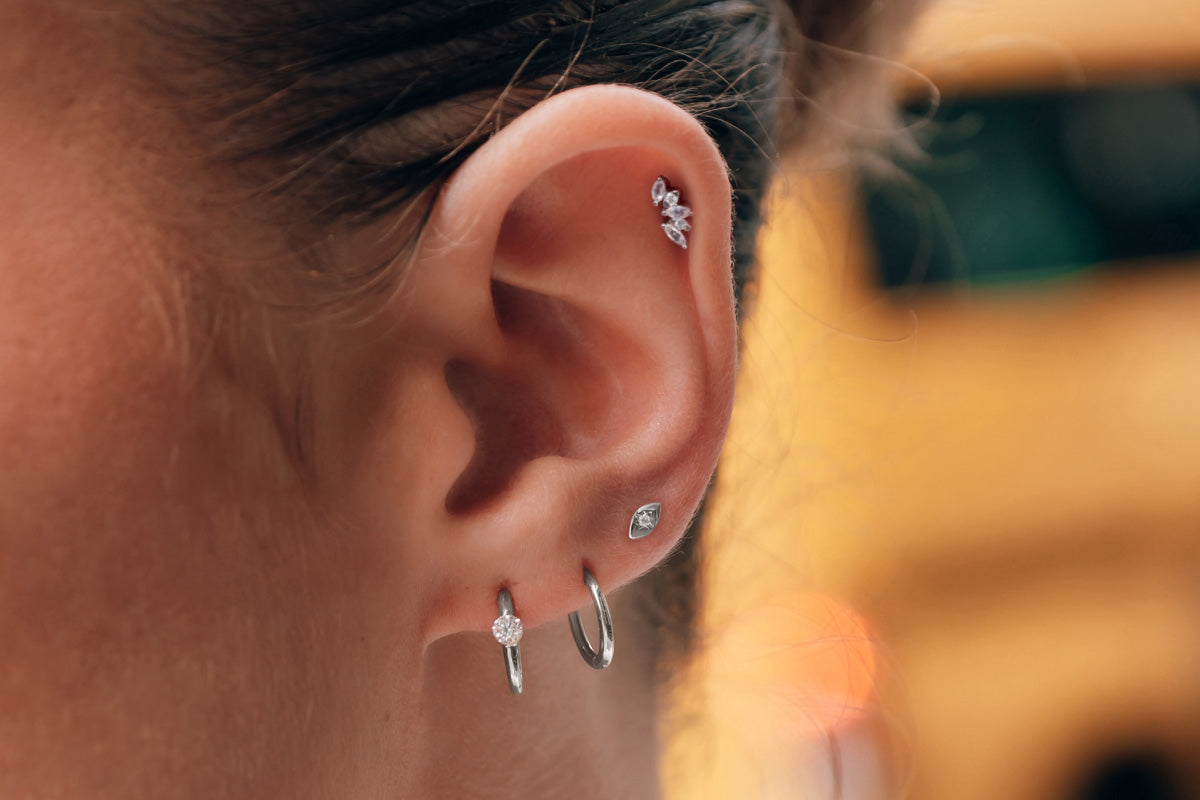 earrings Lookbook Image