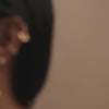 Como Shell Gold Earrings