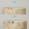 Brilliant Silver Stud Earrings