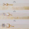 Brilliant Gold Stud Earrings